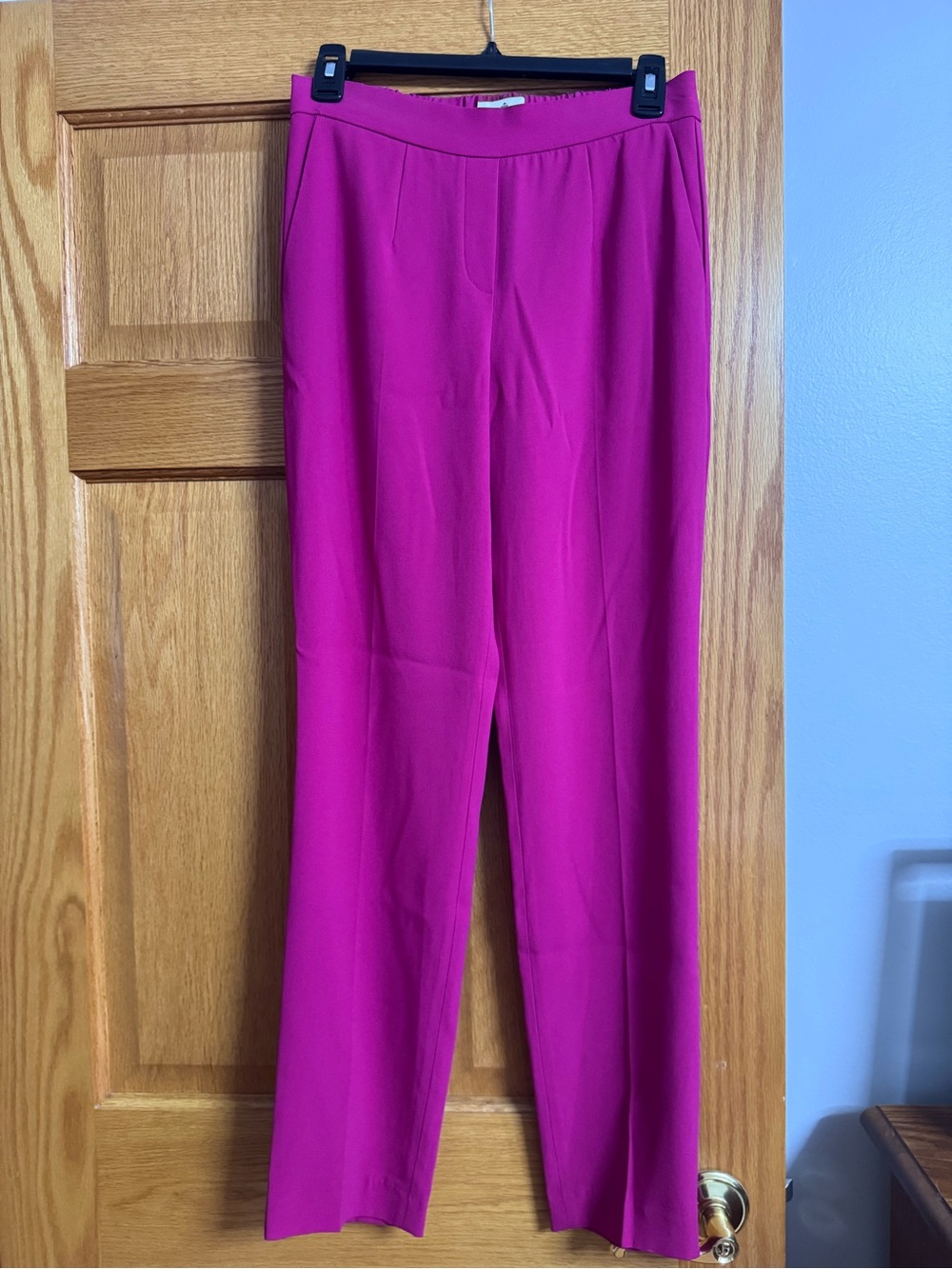 Aritzia Babaton Pants